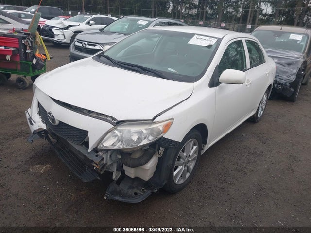 2010 TOYOTA COROLLA VIN: JTDBU4EE1AJ060907