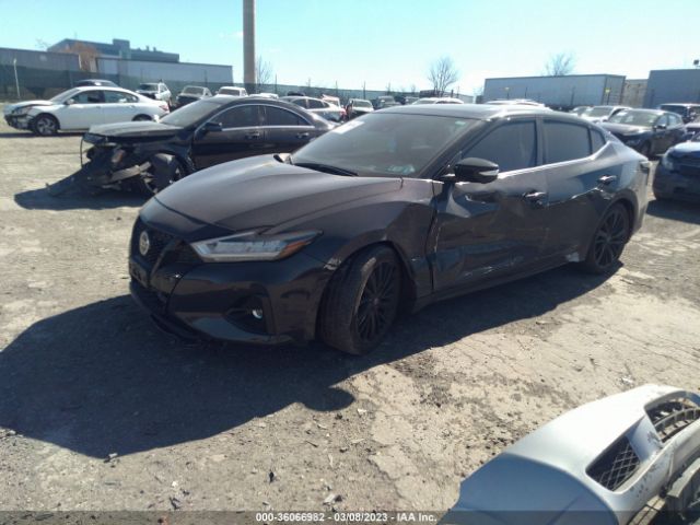1N4AA6FV9MC501342 Nissan Maxima Platinum