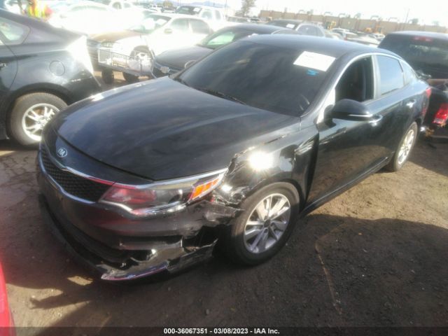 5XXGT4L36JG195296 KIA Optima Lx