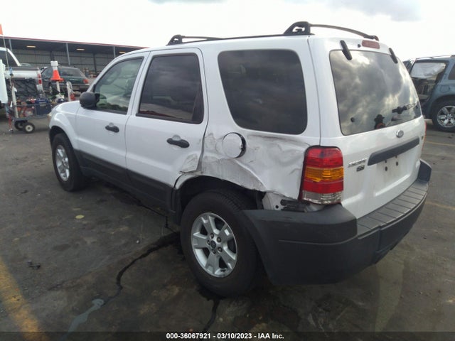 2007 FORD ESCAPE XLT VIN: 1FMYU03177KA07162