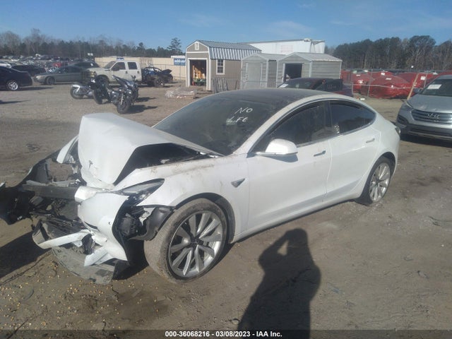 Tesla Model 3 Range 2019 5YJ3E1EA8KF301383 Image 2