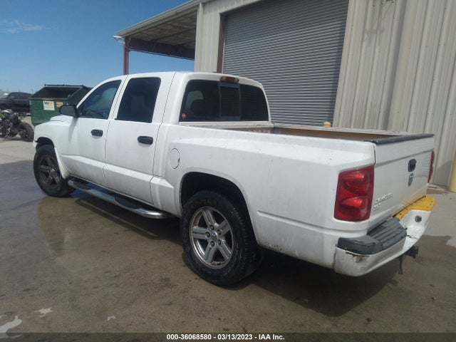 Dodge DAKOTA SLT 2007 1D7HE48KX7S263361 Image 3