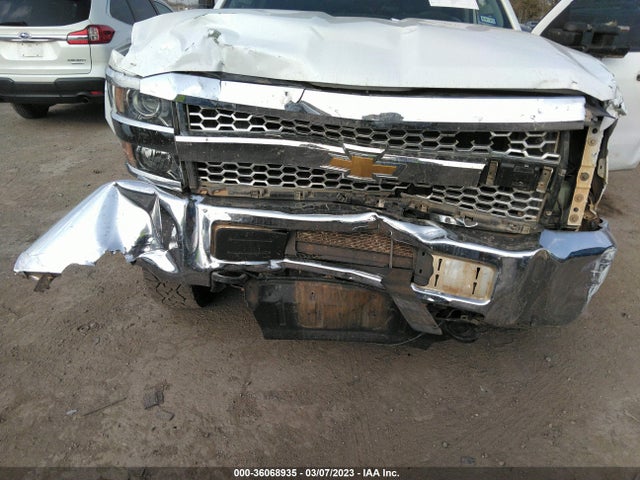 2019 Chevrolet Silverado 2500, VIN: 2GC2KREG6K1181996