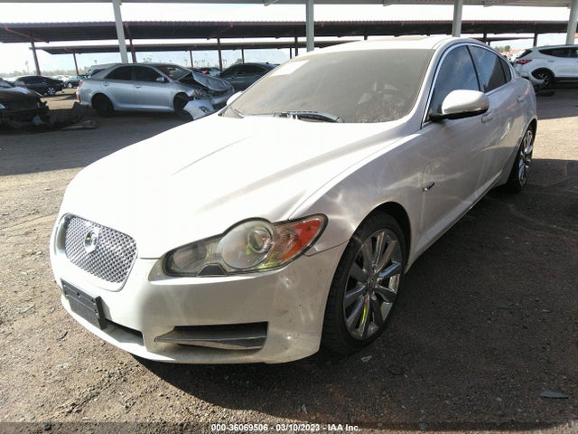 Jaguar XF 2011 SAJWA0FB2BLS14393 Image 2