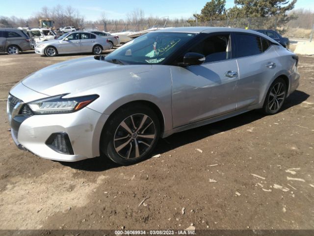 1N4AA6AV4KC366131 Nissan MAXIMA SV