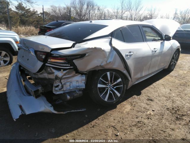 1N4AA6AV4KC366131 Nissan MAXIMA SV