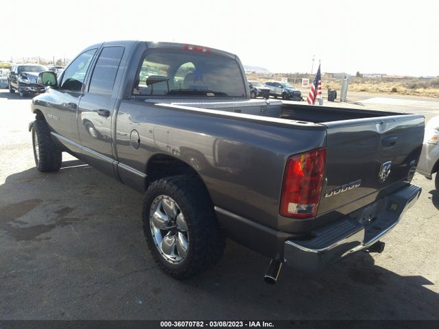 2004 DODGE RAM 1500 SLT VIN: 1D7HA18N04S738306