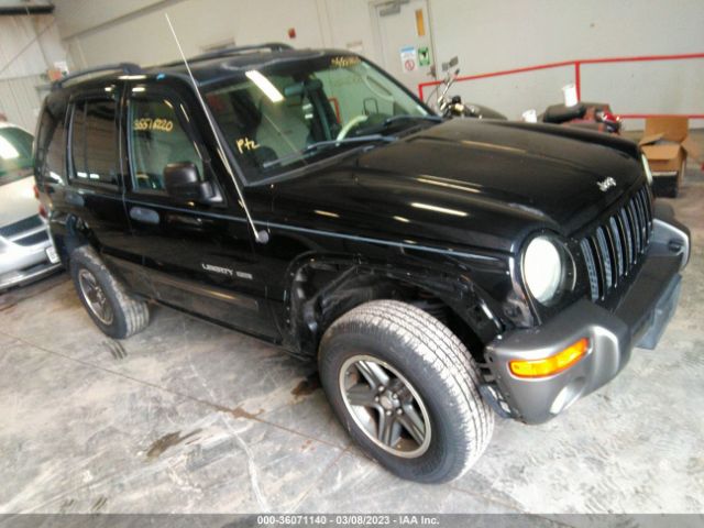 1J4GL48K04W204393 auction archive image