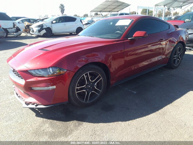 Ford Mustang Ecoboost 2020 1FA6P8THXL5134064 Image 2