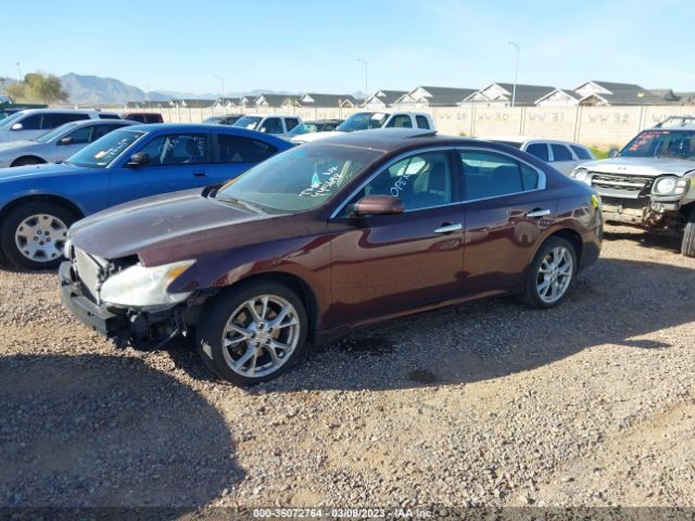 1N4AA5AP2EC445698 Nissan Maxima 3.5 S