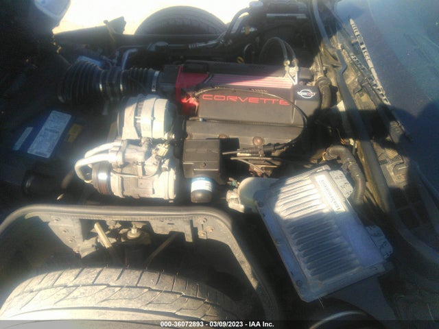 Chevrolet Corvette 1996 1G1YY2258T5110939 Image 12