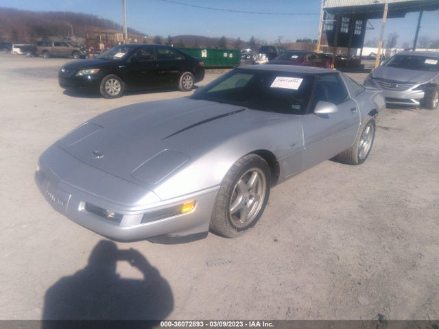 Chevrolet Corvette 1996 1G1YY2258T5110939 Image 2