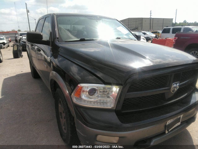 2009 1D3HB13P89J526337 main image