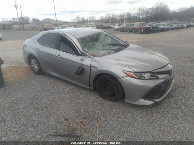 2019 Toyota Camry, VIN: 4T1B31HK1KU007865
