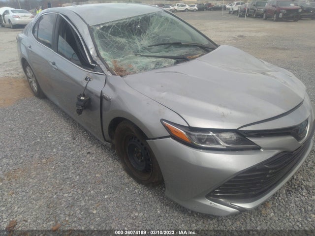 2019 Toyota Camry, VIN: 4T1B31HK1KU007865