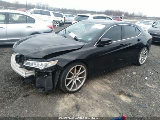 19UUB1F34FA023031 Acura TLX