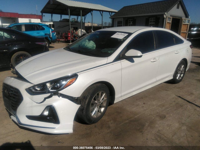 Hyundai SONATA SE 2019 5NPE24AF3KH757118 Image 2