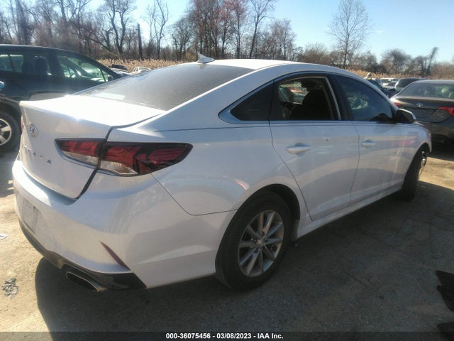 Hyundai SONATA SE 2019 5NPE24AF3KH757118 Image 4
