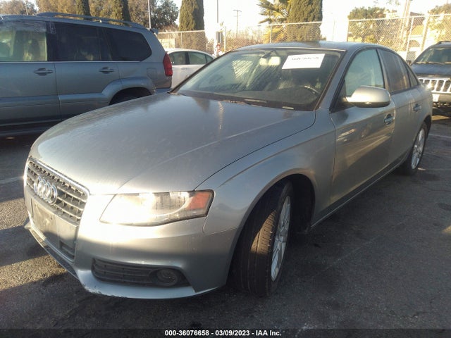 WAUAFAFL9AN029749 Audi A4 2.0t Premium