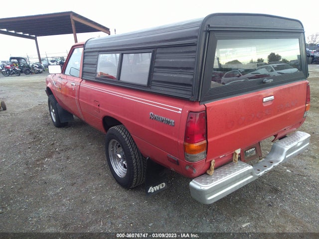 Dodge D50 Custom 1984 JB7FK24E3EY701324 Image 4