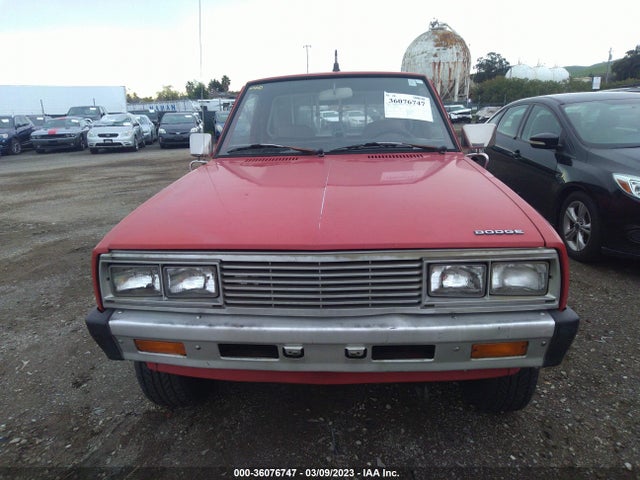 Dodge D50 Custom 1984 JB7FK24E3EY701324 Image 7