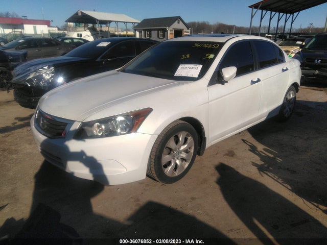 2009 HONDA ACCORD SDN EX-L VIN: 1HGCP36829A042203