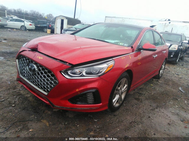Hyundai Sonata 2019 5NPE34AF7KH813249 Image 2