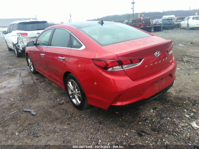 Hyundai Sonata 2019 5NPE34AF7KH813249 Image 4