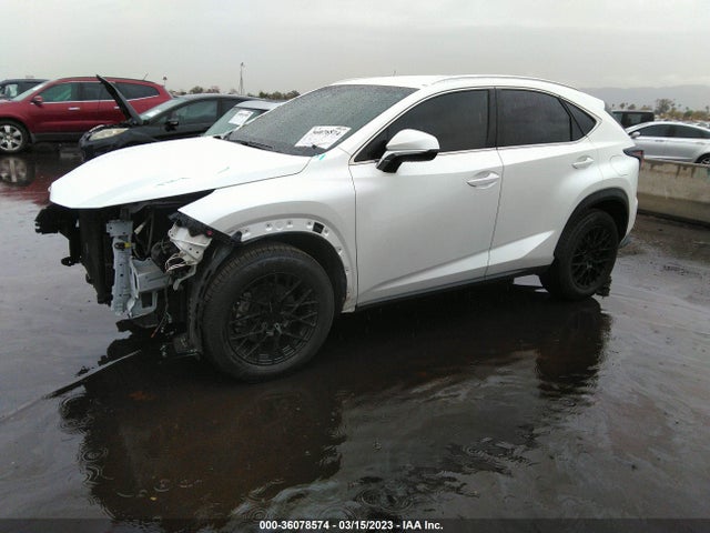 JTJYARBZ0K2131613 Lexus Nx Nx 300
