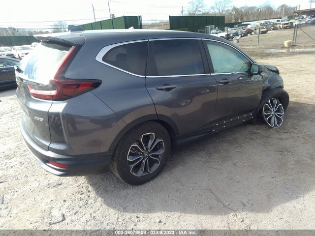 Honda Cr-v Ex-l 2020 5J6RW2H8XLA014640 Image 4