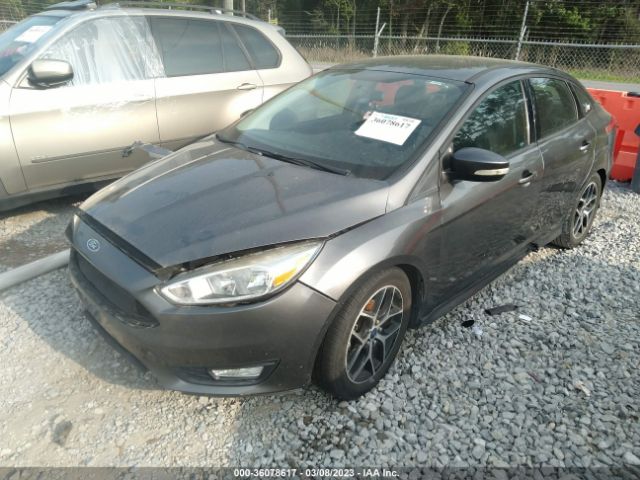 1FADP3F21GL313659 Ford FOCUS SE