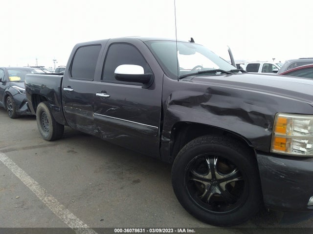 Chevrolet Silverado 1500 2011 3GCPCSE02BG270629 Image 7