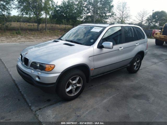 5UXFA53503LH81005 BMW X5 3.0I