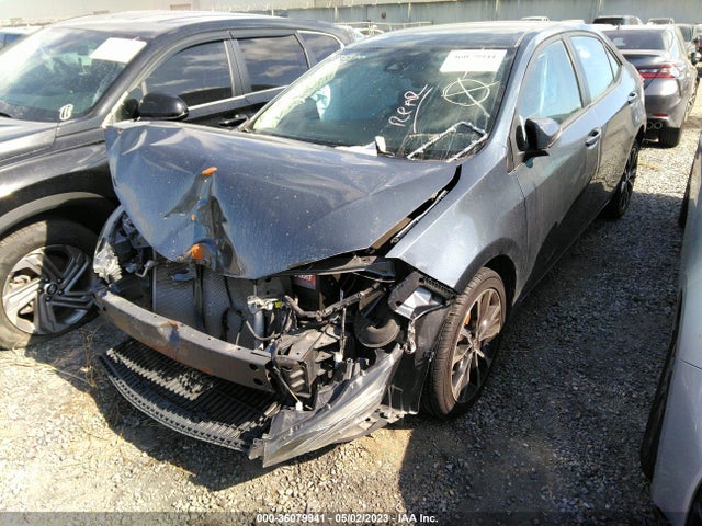 Toyota Corolla L/le/se/xle/xse 2019 2T1BURHE5KC240025 Image 2