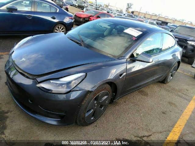 Tesla Model 3 Standard Range Plus 2021 5YJ3E1EA0MF875981 Image 2