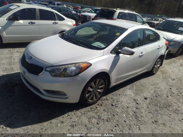 KNAFX4A88E5195435 KIA FORTE EX