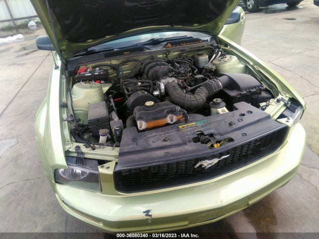 2005 FORD MUSTANG DELUXE/PREMIUM VIN: 1ZVFT84N355224196