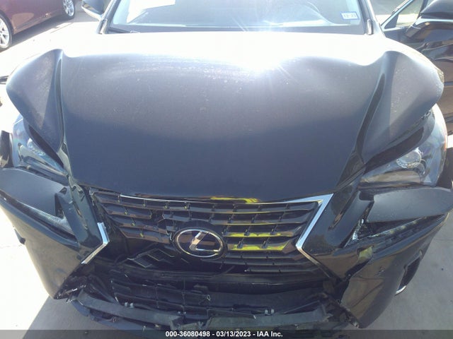 2020 Lexus NX, VIN: JTJDJRDZ3L5005645