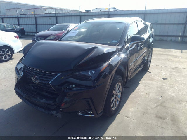 2020 Lexus NX, VIN: JTJDJRDZ3L5005645