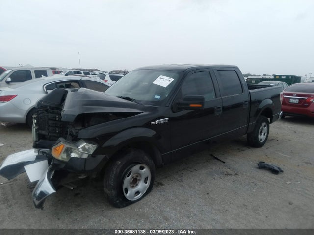 2009 FORD F-150 XL/XLT VIN: 1FTRW12879FA05446