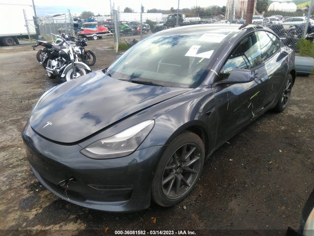 Tesla MODEL 3 2022 5YJ3E1EA3NF343495 Image 2