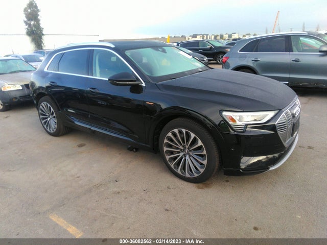 2019 Audi e-tron, VIN: WA1VAAGE1KB024240