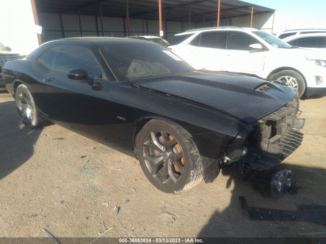 2C3CDZBT0KH737490 - Dodge Challenger R/t 2019