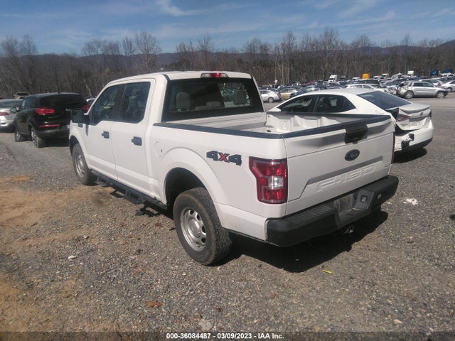 Продаж на аукціоні авто 2019 Ford F-150 Xl/xlt/lariat, vin: 1FTEW1E57KFD01525, номер лоту: 36084487
