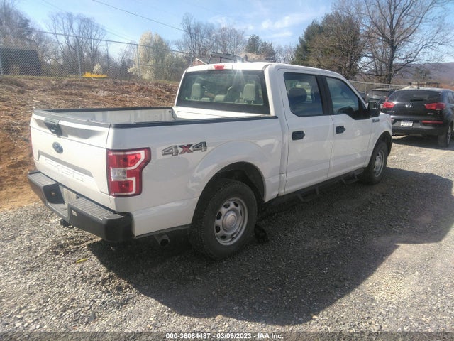 Продаж на аукціоні авто 2019 Ford F-150 Xl/xlt/lariat, vin: 1FTEW1E57KFD01525, номер лоту: 36084487