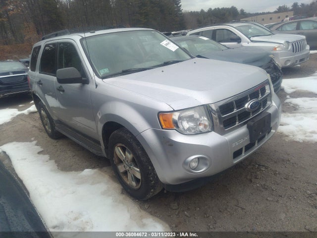 2011 FORD ESCAPE XLT VIN: 1FMCU0D71BKB32325