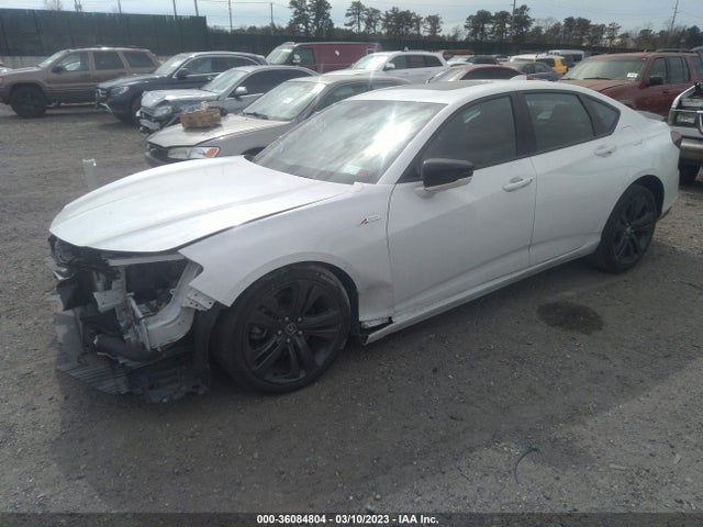 Acura Tlx W/a-spec Package 2021 19UUB6F56MA003391 Image 2