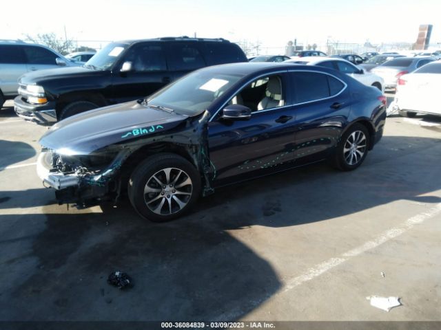 19UUB1F54FA026965 Acura TLX TECH