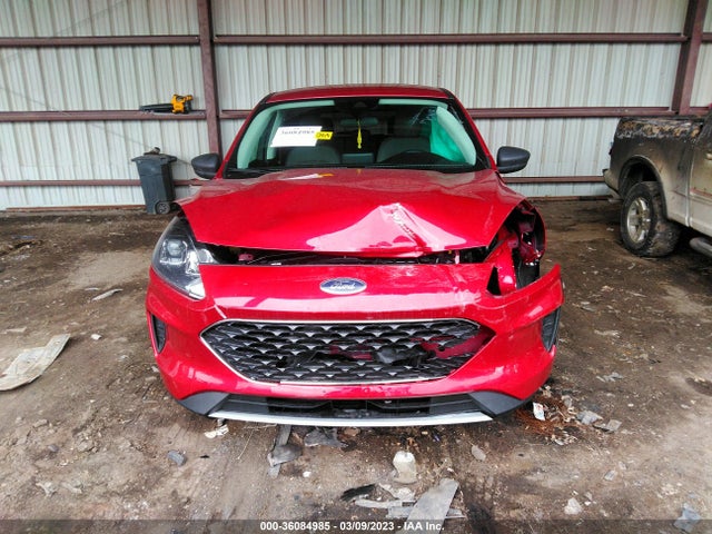 Ford ESCAPE SE 2022 1FMCU9G61NUB84702 Image 6