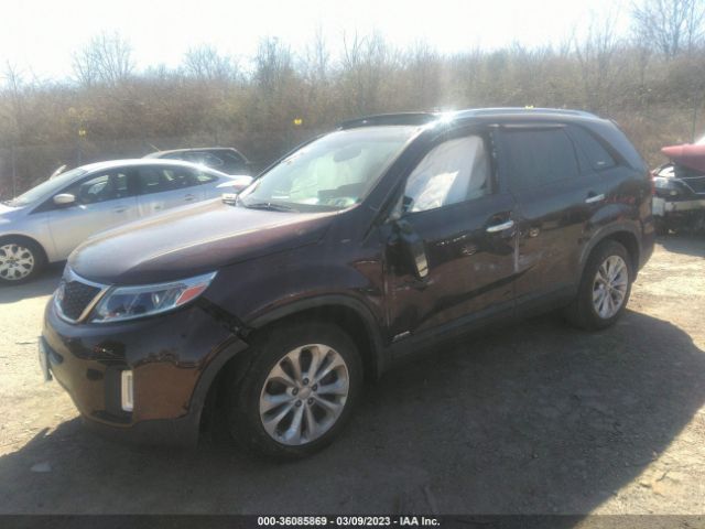 5XYKUDA76EG537604 KIA SORENTO EX